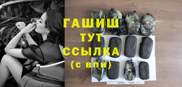 прущий лед Алзамай