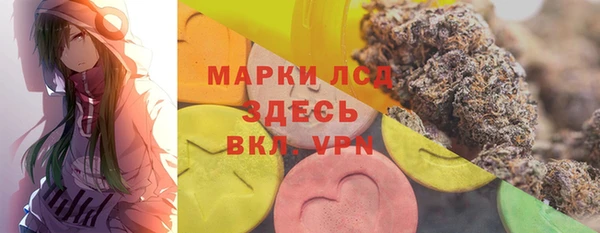 прущий лед Алзамай
