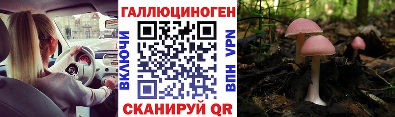 KRAKEN   darknet состав  Галлюциногенные грибы прущие грибы  Западная Двина 